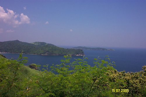 carabao-island.jpg